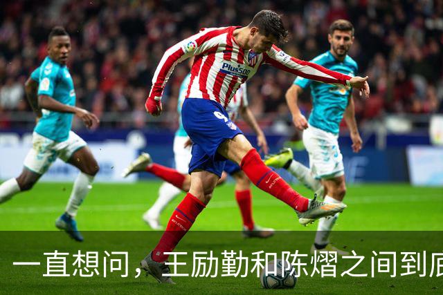 一直想问，王励勤和陈熠之间到底是什么关系？