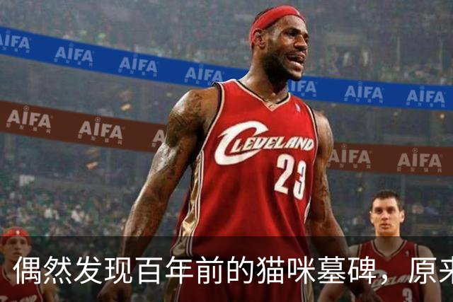 偶然发现百年前的猫咪墓碑，原来被爱过的痕迹，真的不会消失！