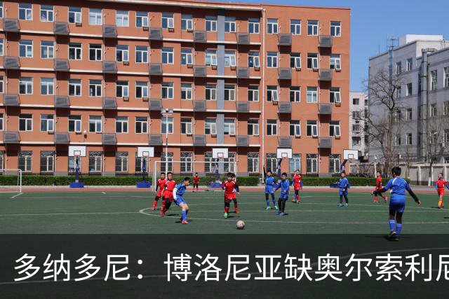 多纳多尼：博洛尼亚缺奥尔索利尼，但没拉比奥对米兰影响更大