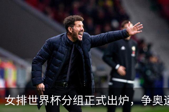 女排世界杯分组正式出炉，争奥运会门票，中国队1/4决赛战美国