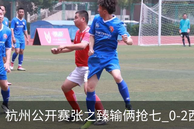杭州公开赛张之臻输俩抢七 0-2西里奇收获亚军