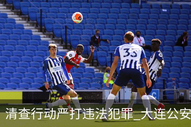 清查行动严打违法犯罪 大连公安公布5起典型案例