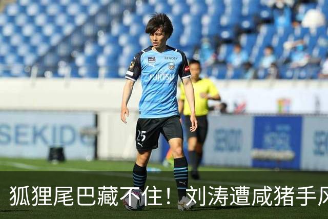 狐狸尾巴藏不住！刘涛遭咸猪手风波再升级，受害者远不止一个