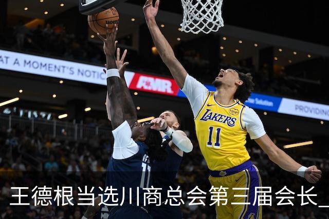 王德根当选川商总会第三届会长 刘永好当选名誉会长