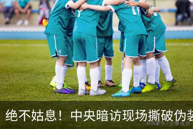 绝不姑息！中央暗访现场撕破伪装，这些离谱乱象，怎么洗都洗不掉