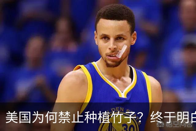 美国为何禁止种植竹子？终于明白，原来竹子比我们想象的更可怕
