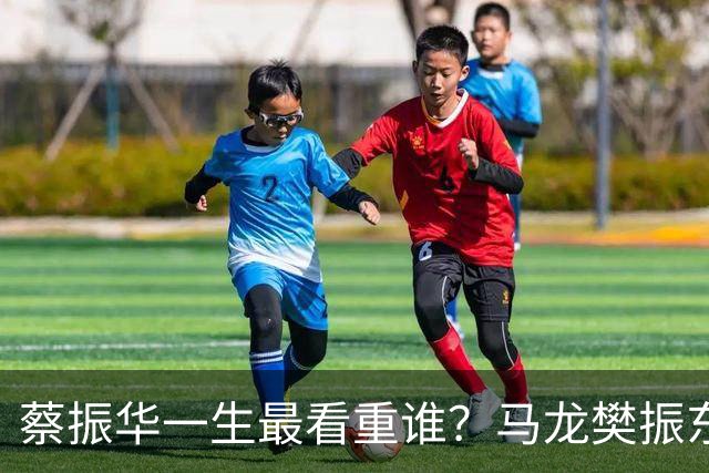 蔡振华一生最看重谁？马龙樊振东都落选，保国乒长青的底牌终揭晓