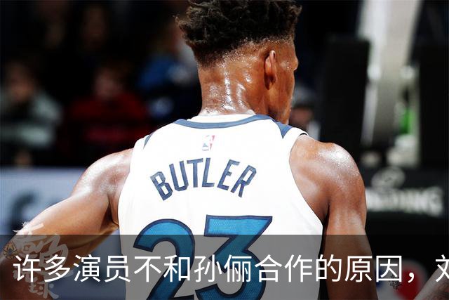 许多演员不和孙俪合作的原因，刘涛早就说过，“她太细节控了”