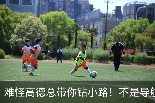难怪高德总带你钻小路！不是导航坑人，是你一直没改这个设置