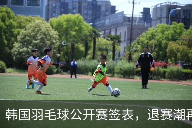 韩国羽毛球公开赛签表，退赛潮再起，国羽多主力轮休20组球员出战