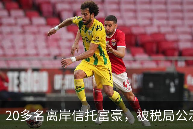 20多名离岸信托富豪，被税局公示催告