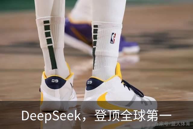 DeepSeek，登顶全球第一